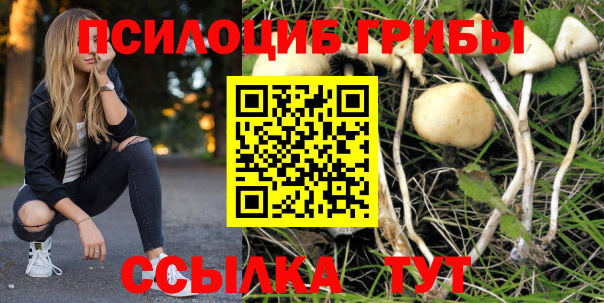 Галлюциногенные грибы MAGIC MUSHROOMS Тобольск