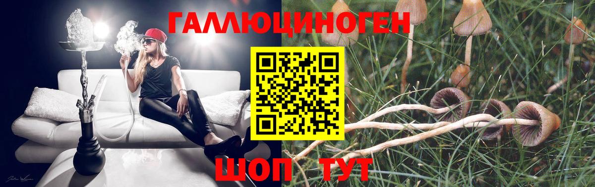 Тобольск  хочу наркоту  Псилоцибиновые грибы GOLDEN TEACHER  Вход с VPN  Галлюциногенные грибы GOLDEN TEACHER 